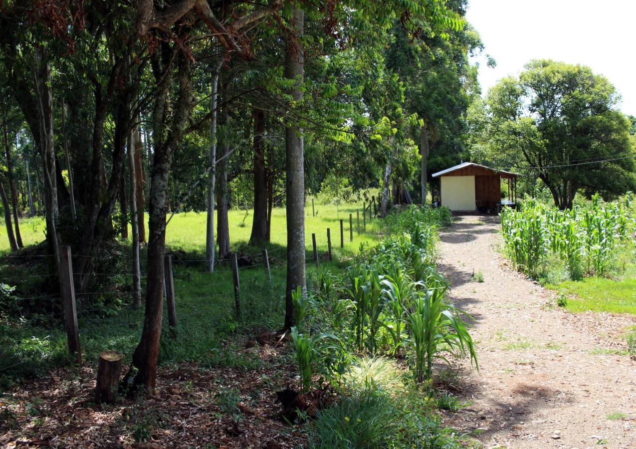 Cabana Na Serra Gaucha! Picada Cafe Eksteriør bilde